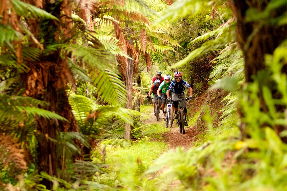 lake wairarapa cycle challenge