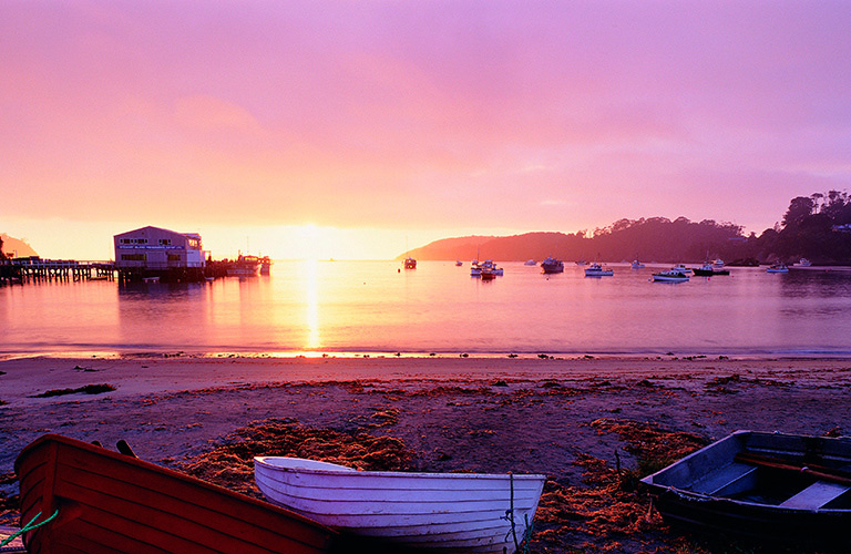 The Rakiura Track