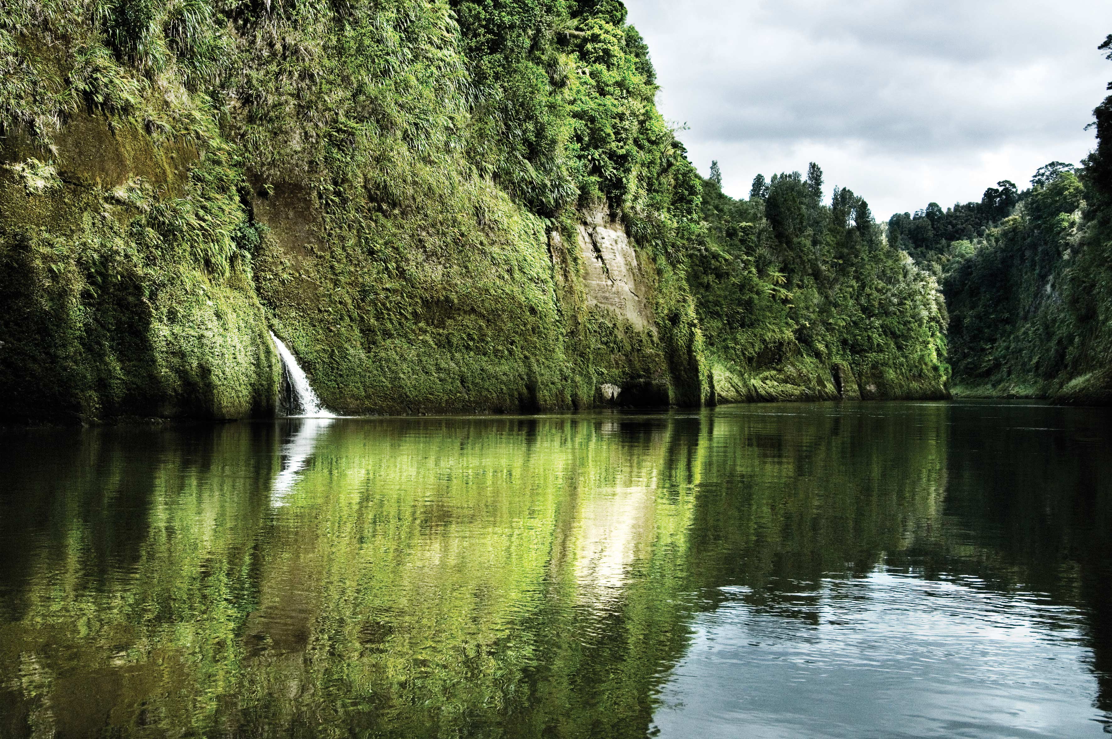 Whanganui River Journey